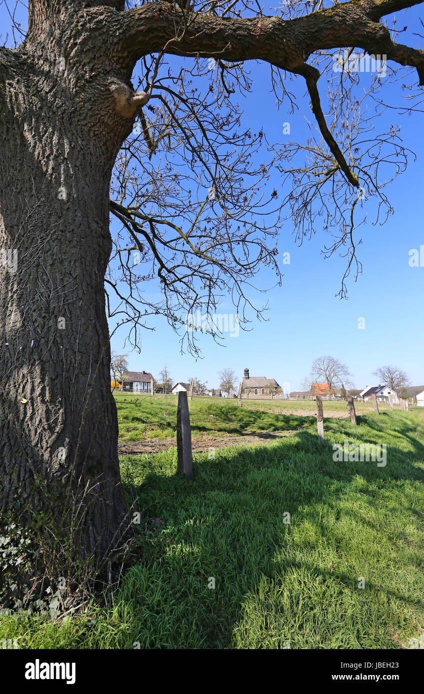 Frühling im Sauerland Stockfoto