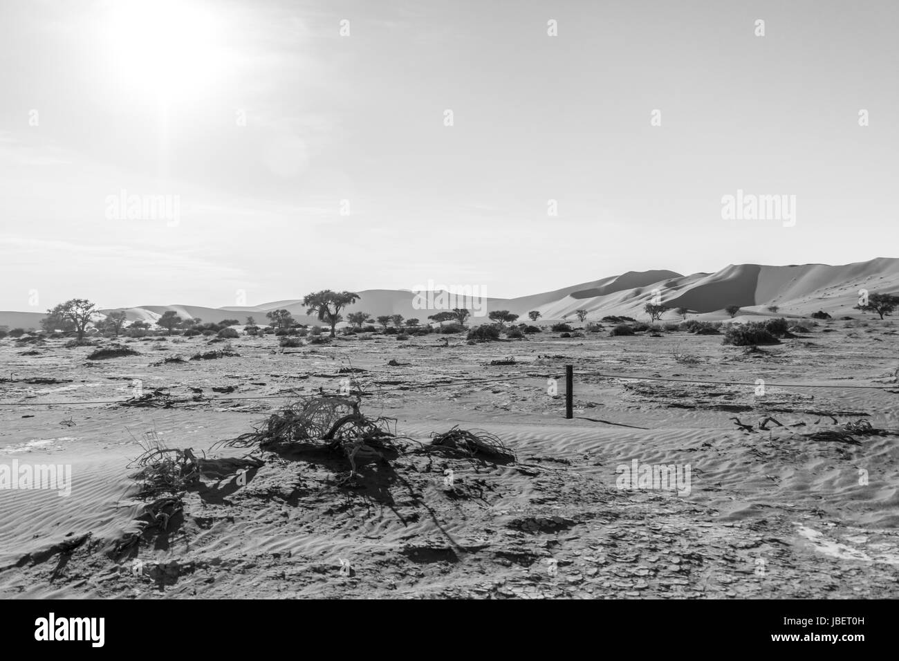 Sanddünen in schwarz und weiß in der Namib-Wüste, Namibia. Stockfoto