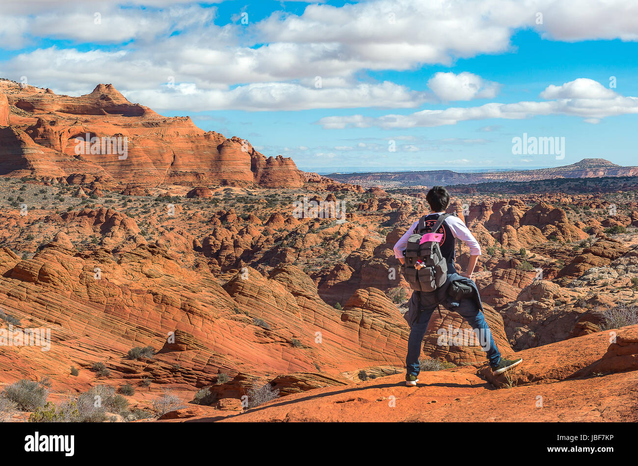 Wanderer stehen auf dem Berg Weg zu The Wave in North Coyote Buttes, Arizona Stockfoto