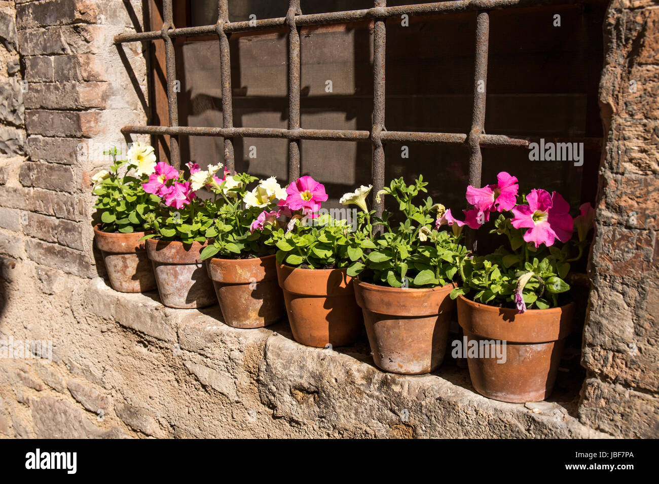 Spello. Mittelalterliche Stadt in Mittelitalien in Umbrien Stockfoto