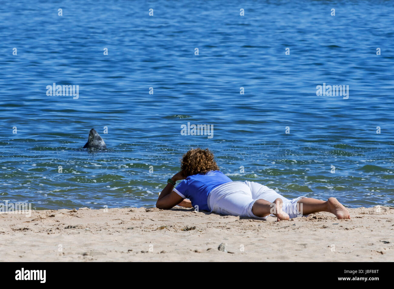 Frau liegt auf ihrem Bauch am Strand beobachten graue Dichtung Abfüllung / schlafen aufrecht, Ythan Mündung, Sande von Forvie in Newburgh, Schottland Stockfoto