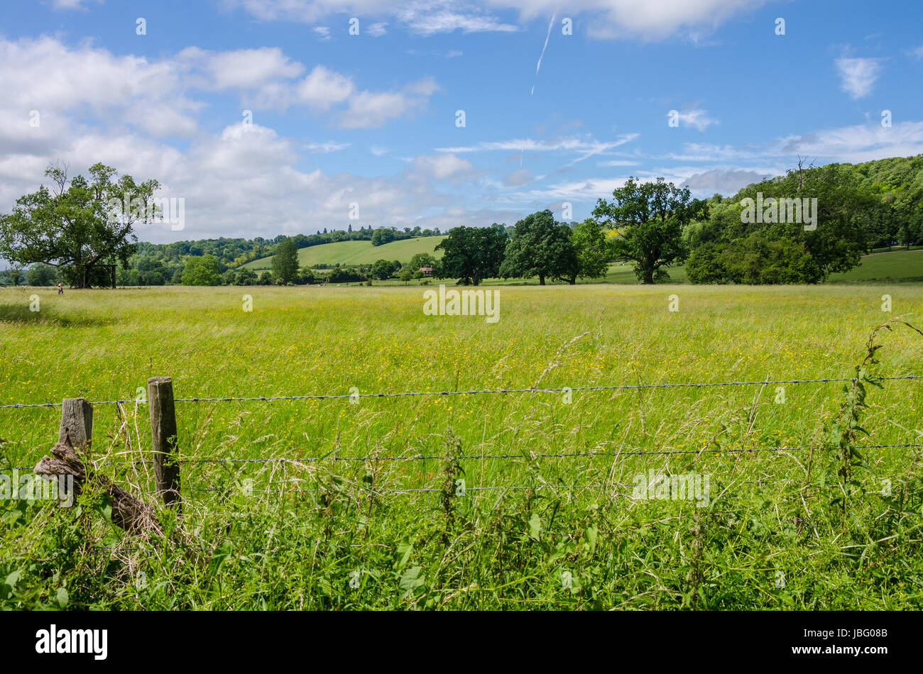 Blick über eine Berkshire-Landschaft mit blauem Himmel mit weißen Wolken. Stockfoto