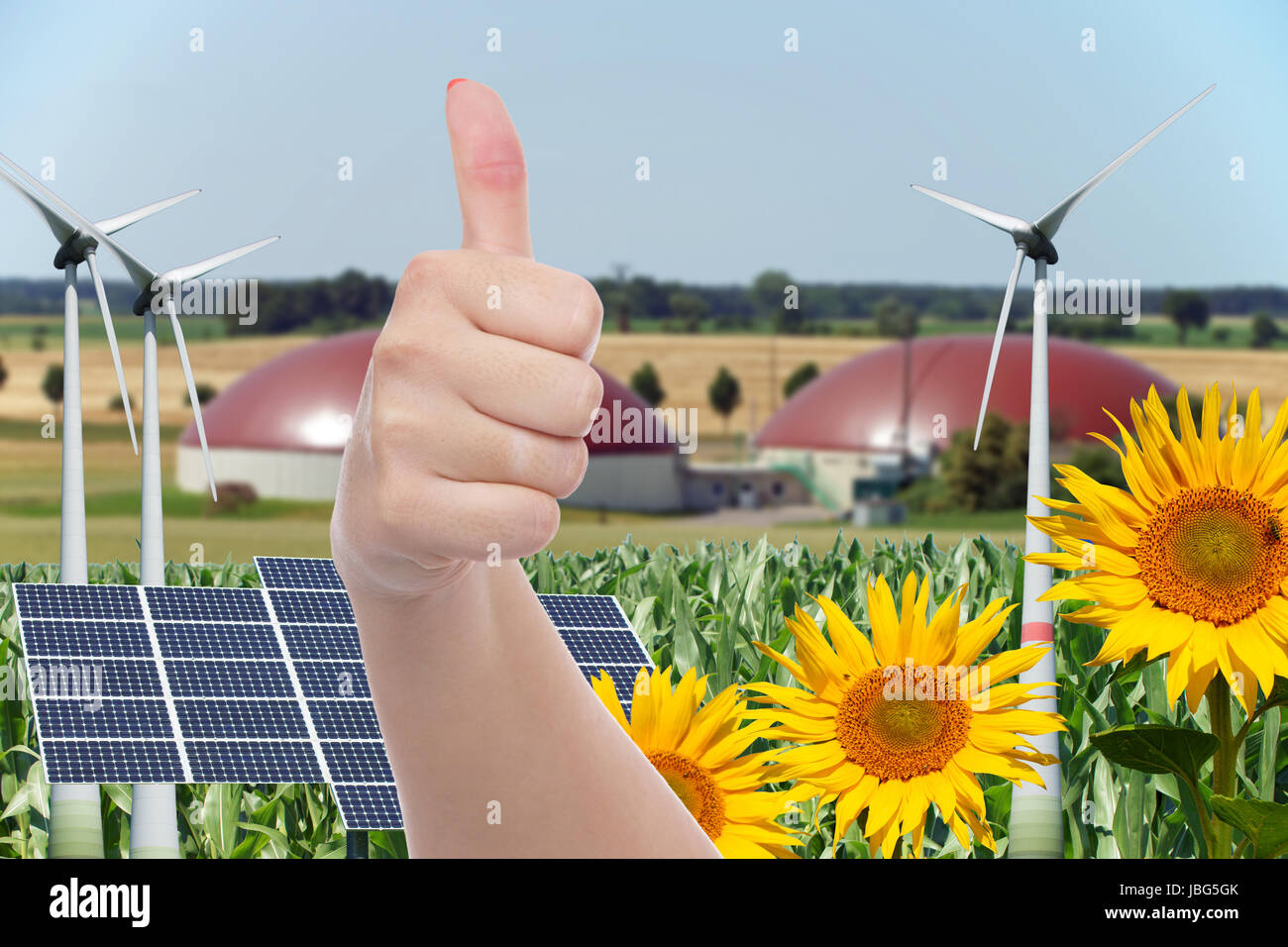 Sonnenblume und Solar-panel Stockfotografie - Alamy