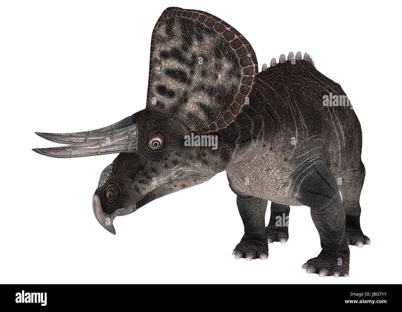 Digitale 3D Rendern eines Dinosauriers, die Zuniceratops isoliert auf weißem Hintergrund Stockfoto