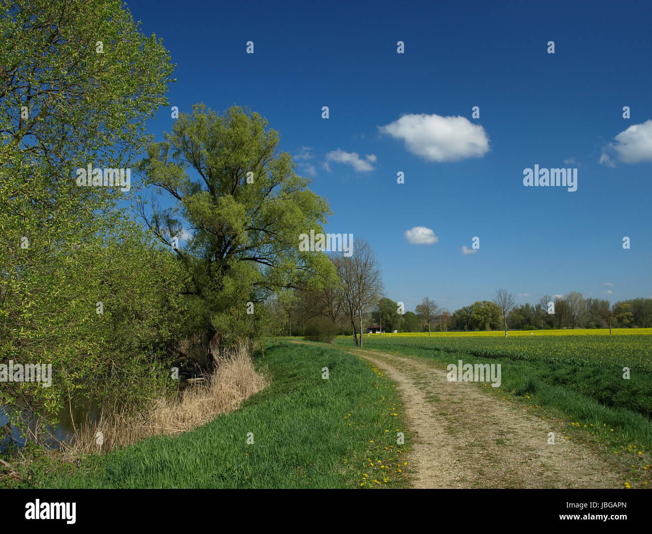 Bei Amper entlang Stockfoto