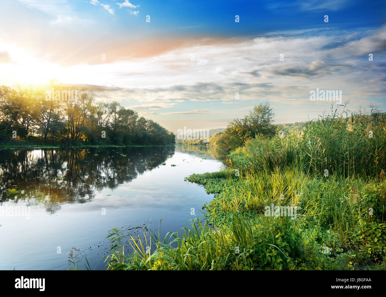 Schilf und Wasserlinsen auf dem Fluss bei Sonnenuntergang Stockfoto