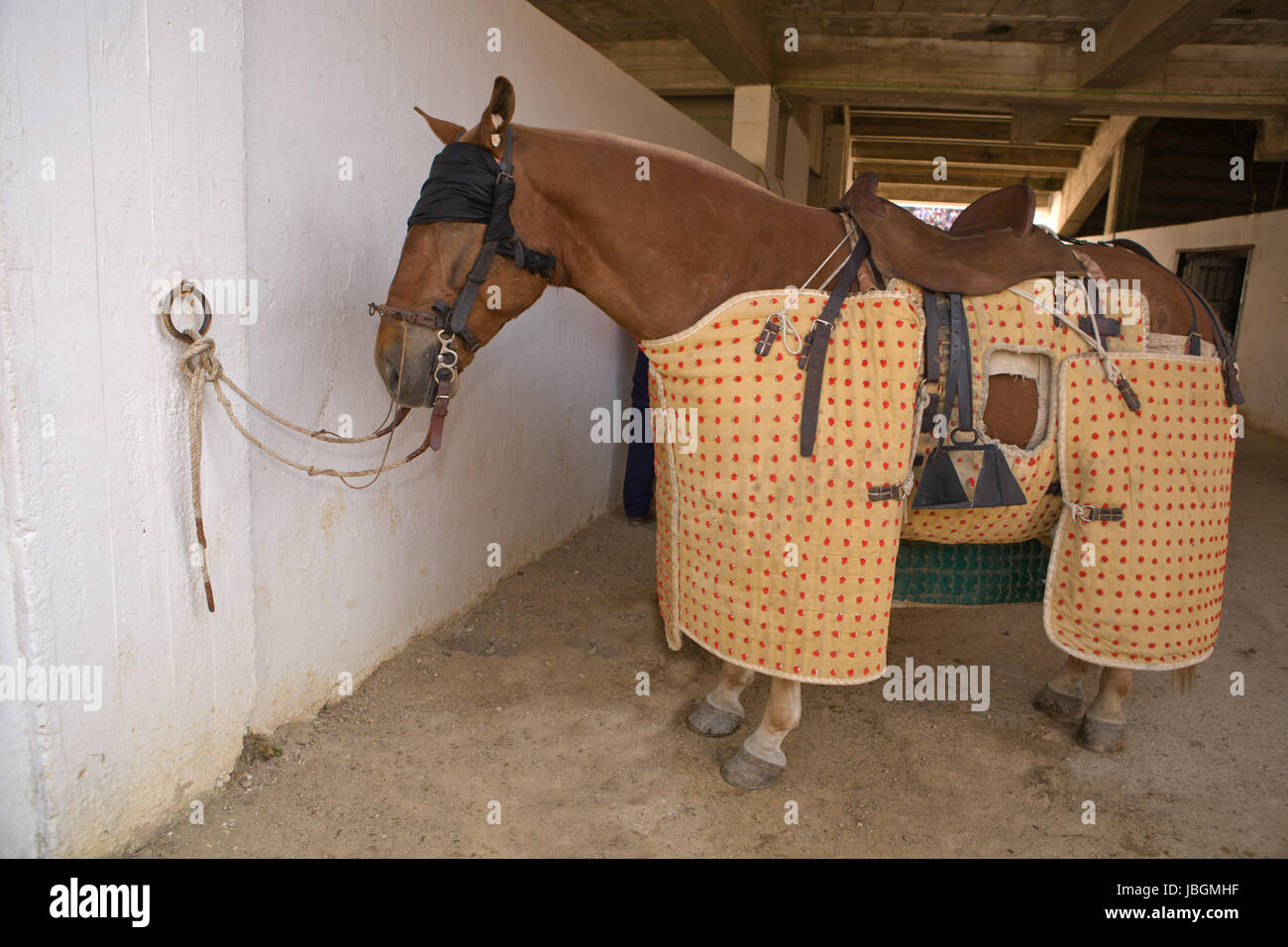 Ein Pferd Lancer vor beginnt den Stierkampf. Pferde-Tunnel unter der Tribüne der Stierkampfarena Stockfoto