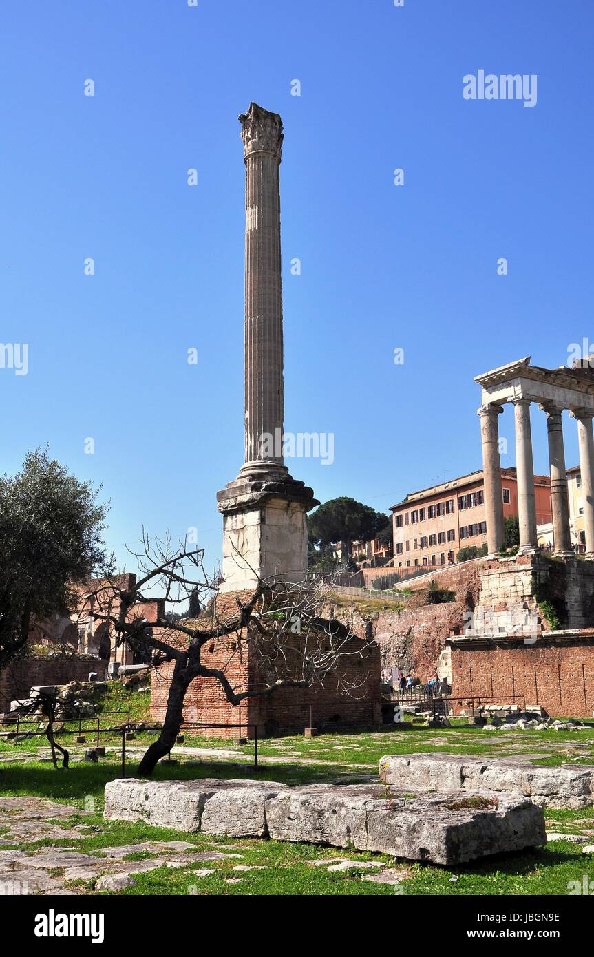 Politische grün Stockfoto