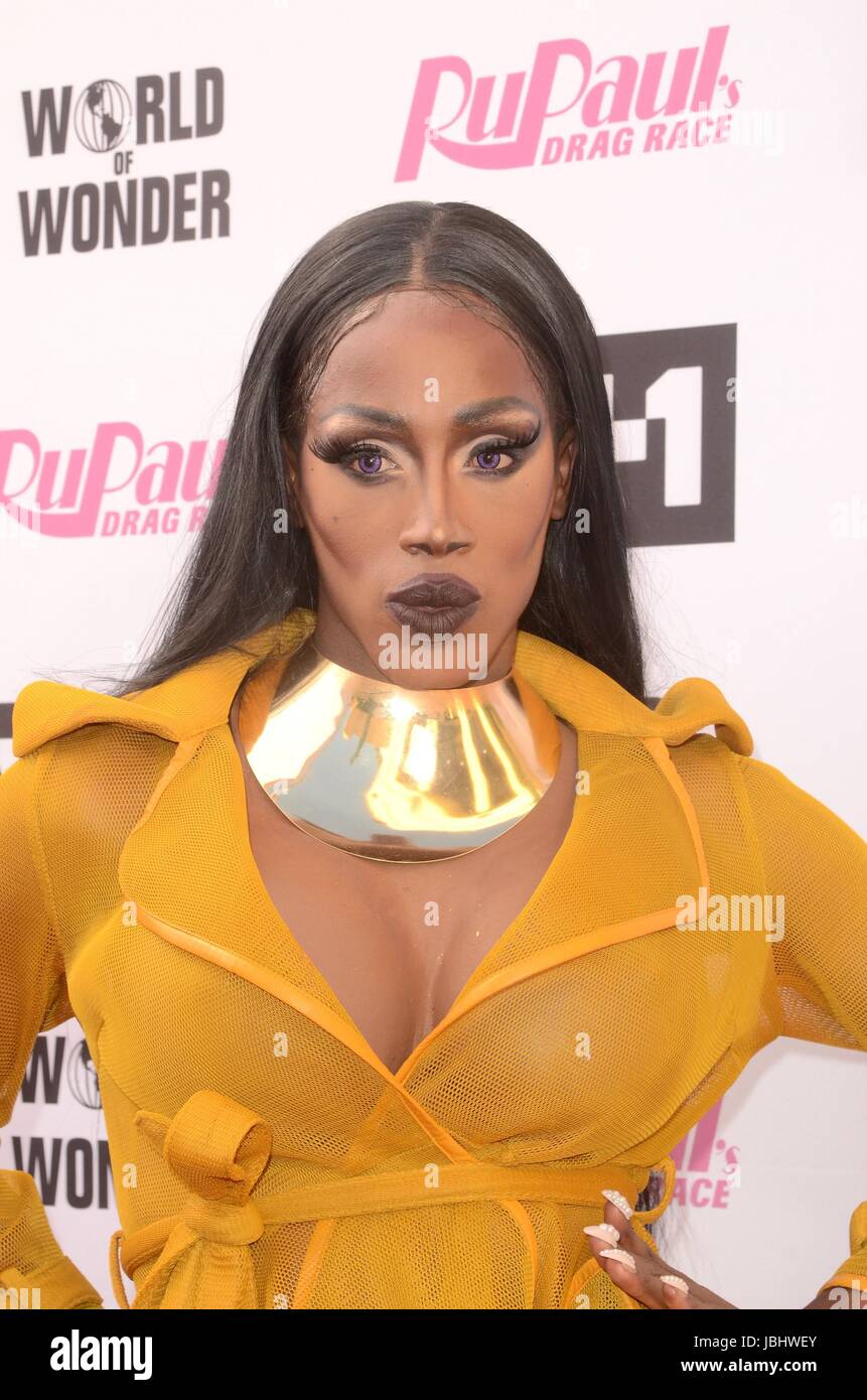 Nina bonina braun als jasminmeister