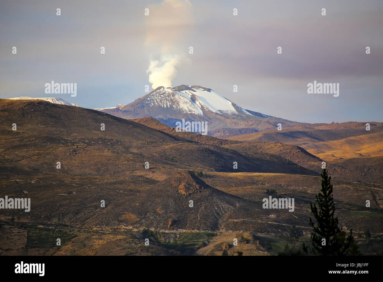Blick auf Sabancaya-Vulkan in den Anden des südlichen Peru. Es ist der aktivste Vulkan in Peru Stockfoto