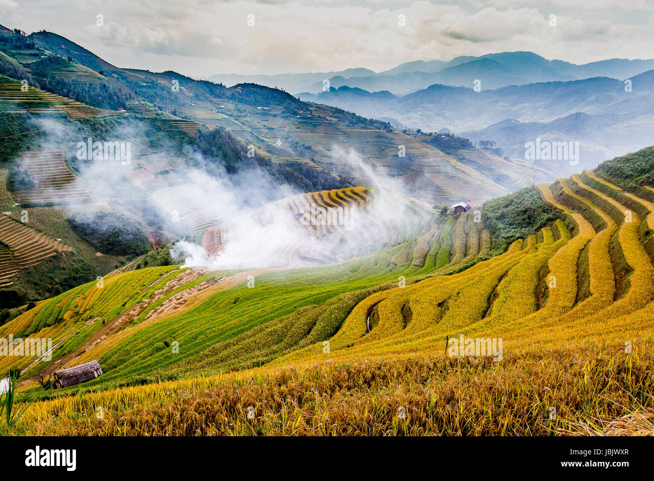 Viet Nam Mu Cang Chai terrassierten Reisfelder auf Erntezeit oder goldene Saison einschließlich der Berg Hügel Kurve Textur und Gebirge Stockfoto