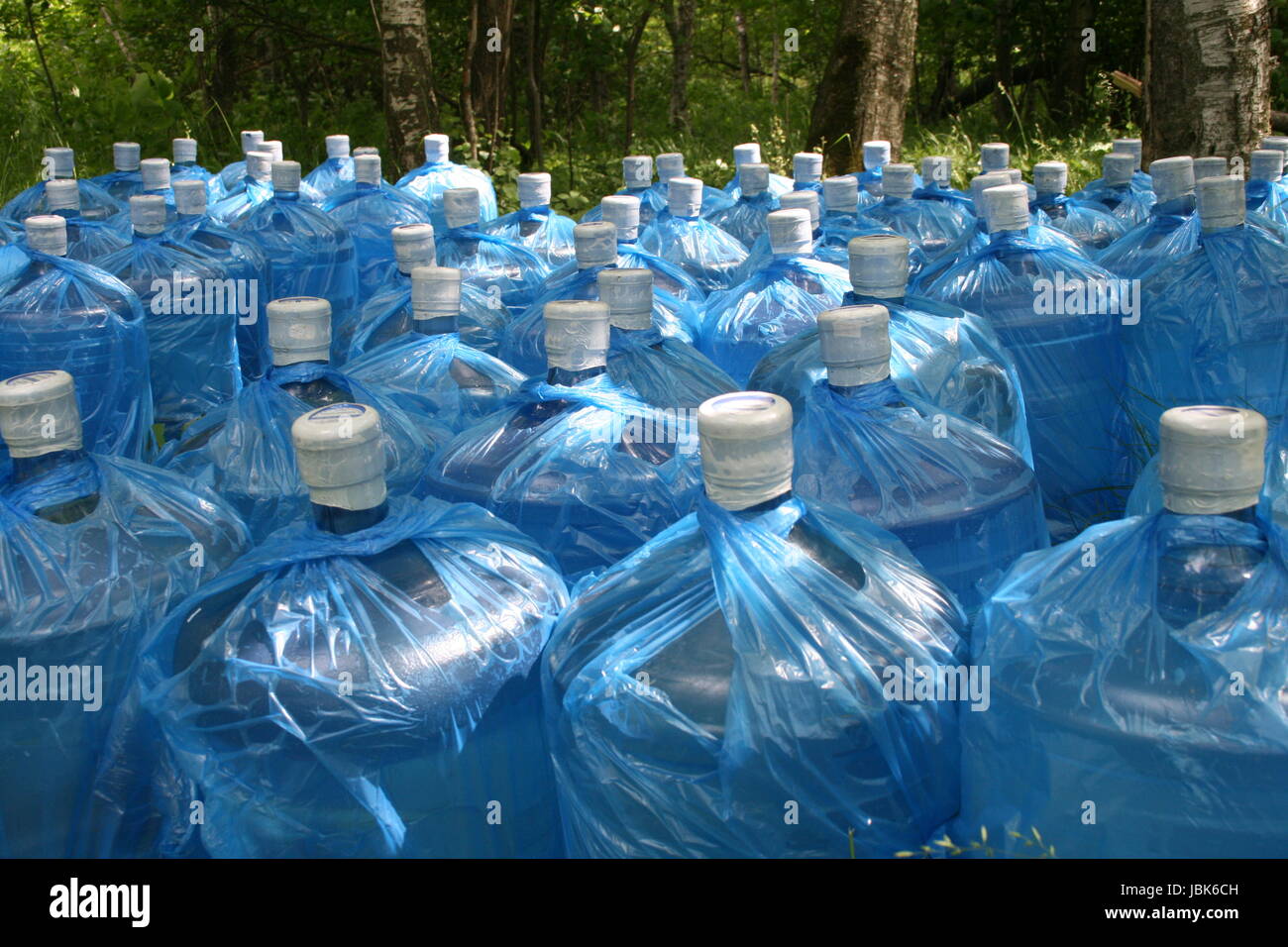 Die Zeilen der Flaschen von sauberem Wasser in grünen Wald Stockfoto