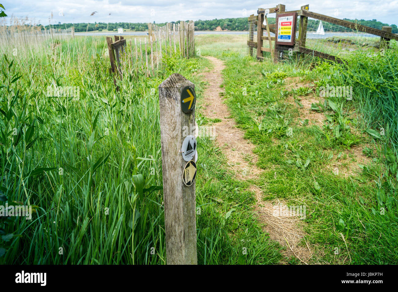 Port Authority Marker, River Orwell Mündung Deich in der Nähe von Pin Mill, Suffolk, England Stockfoto