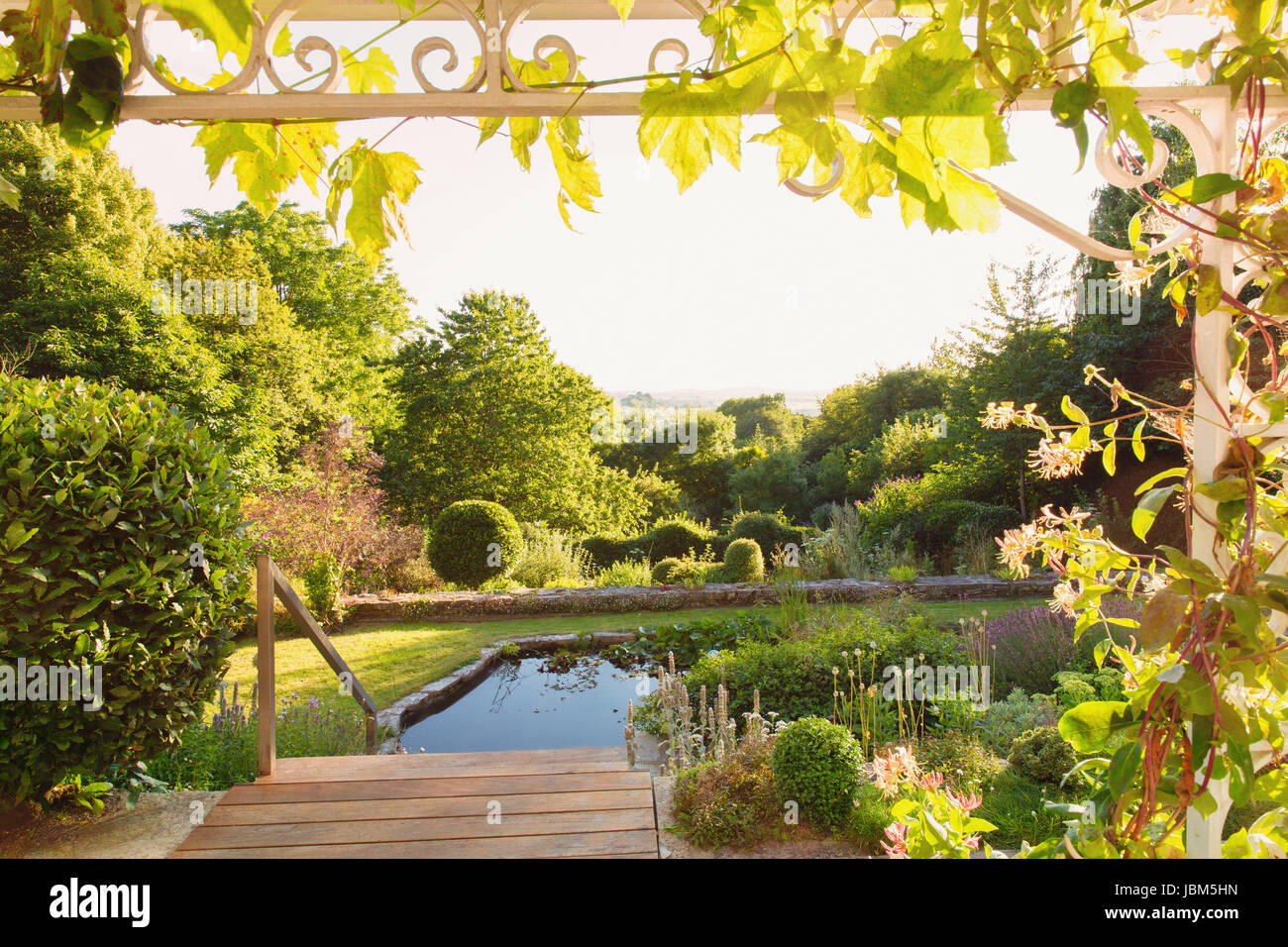 Ruhige, sonnige grüne Sommergarten mit Swimming pool Stockfoto