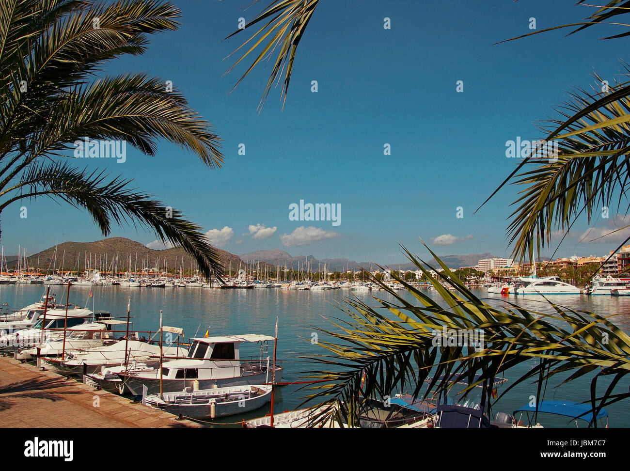 D'Alcudia Mallorca Spanien Hafen / Port-d'Alcudia-Mallorca-Spanien Stockfoto