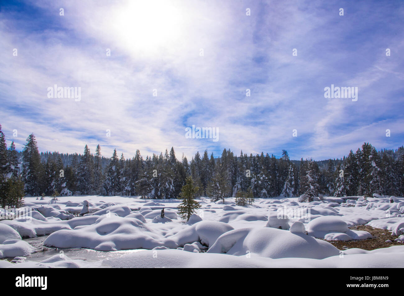 Donner Lake Schnee Stockfoto