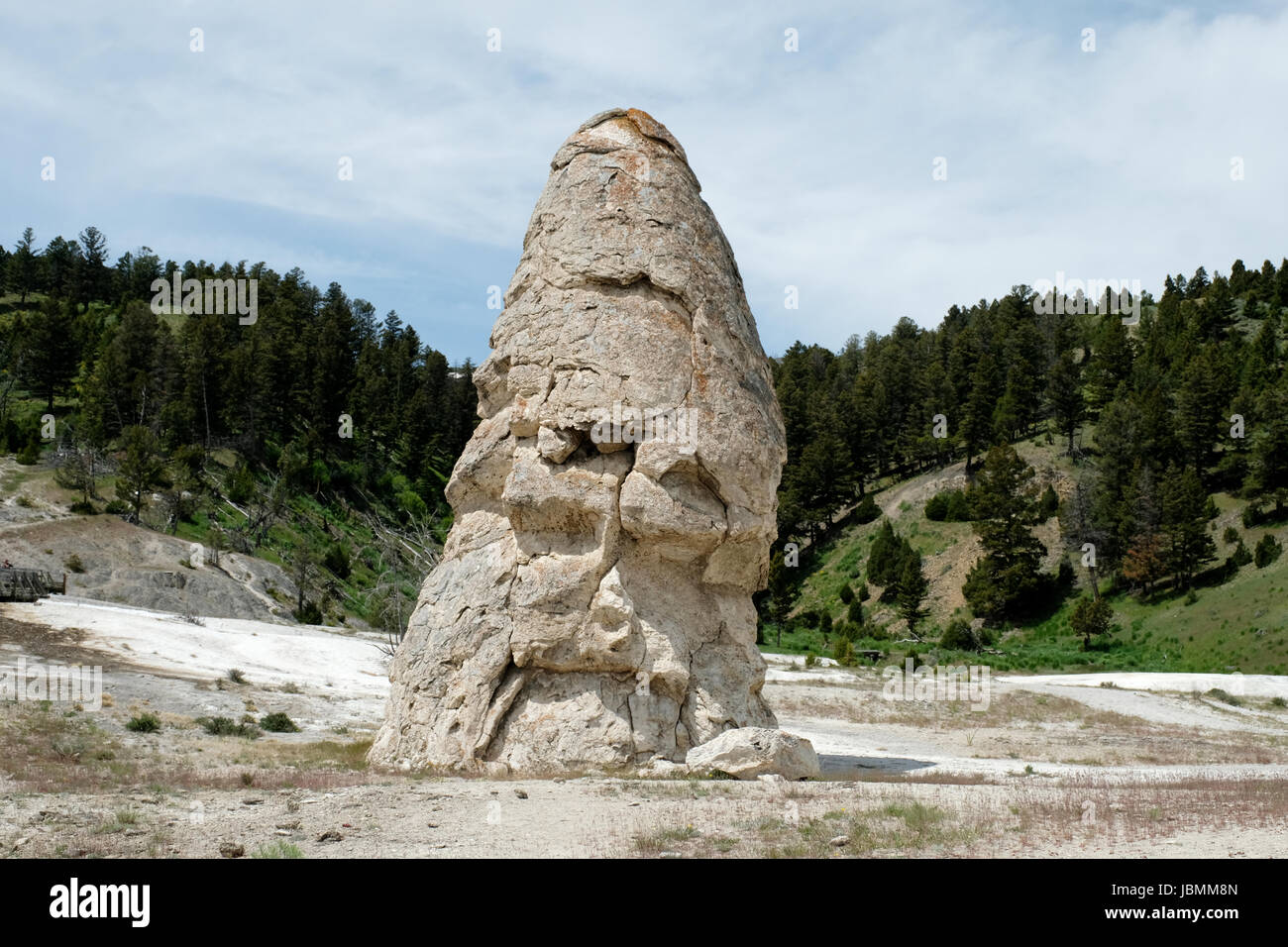 Liberty Cap Thermalquelle Kegel befindet sich in Mammoth Hot Springs im Yellowstone-Nationalpark, Wyoming, USA. Stockfoto