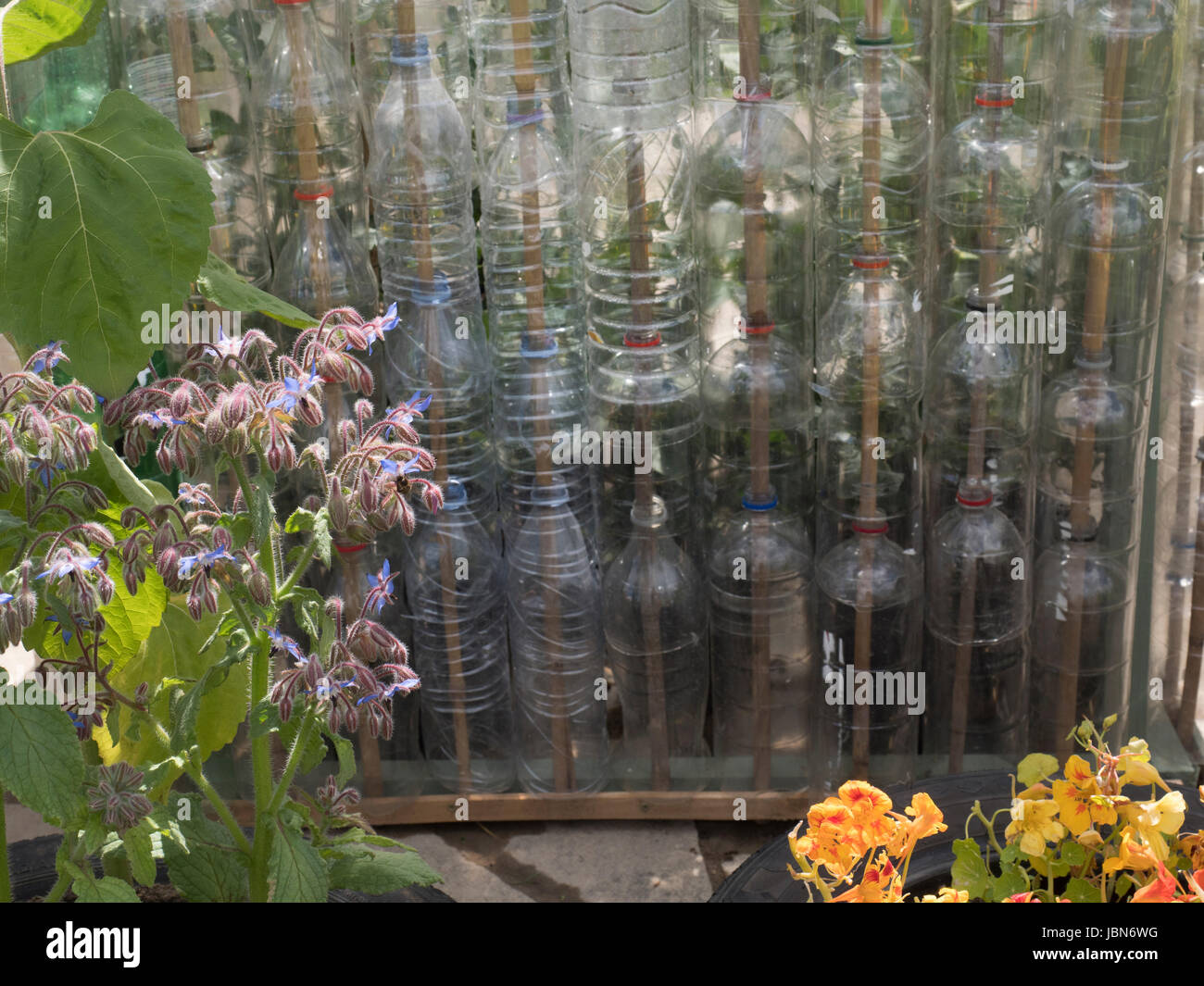 RHS Chatsworth Blumenschau 2017 Stockfoto