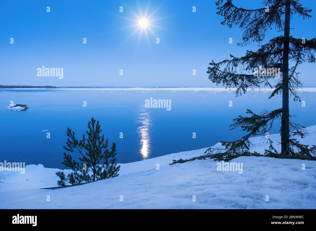 Seelandschaft mit Mondlicht im winter Stockfoto