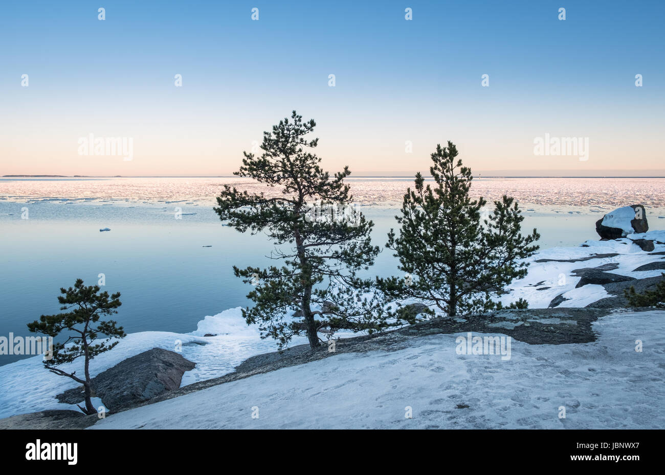 Seelandschaft mit Bäumen und schönen Abendlicht im winter Stockfoto