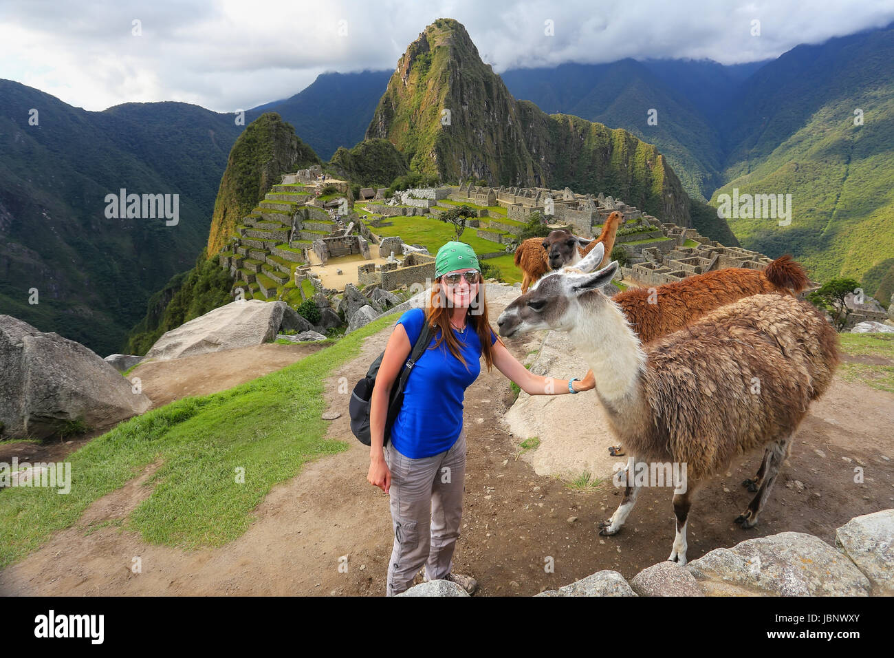 Junge Frau mit freundlichen Lamas auf mit Blick auf Machu Picchu in Peru. Im Jahr 2007 wurde Machu Picchu von der neuen sieben Weltwunder gewählt. Stockfoto