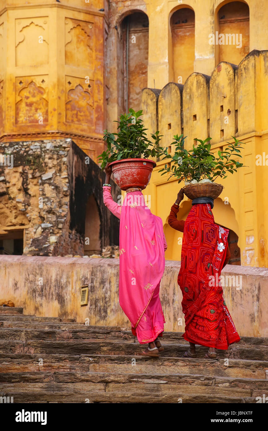 Einheimische Frauen tragen Töpfe mit Pflanzen auf ihren Köpfen zu Amber Fort, Rajasthan, Indien. Amber Fort ist die wichtigste touristische Attraktion in der Umgebung von Jaipur. Stockfoto