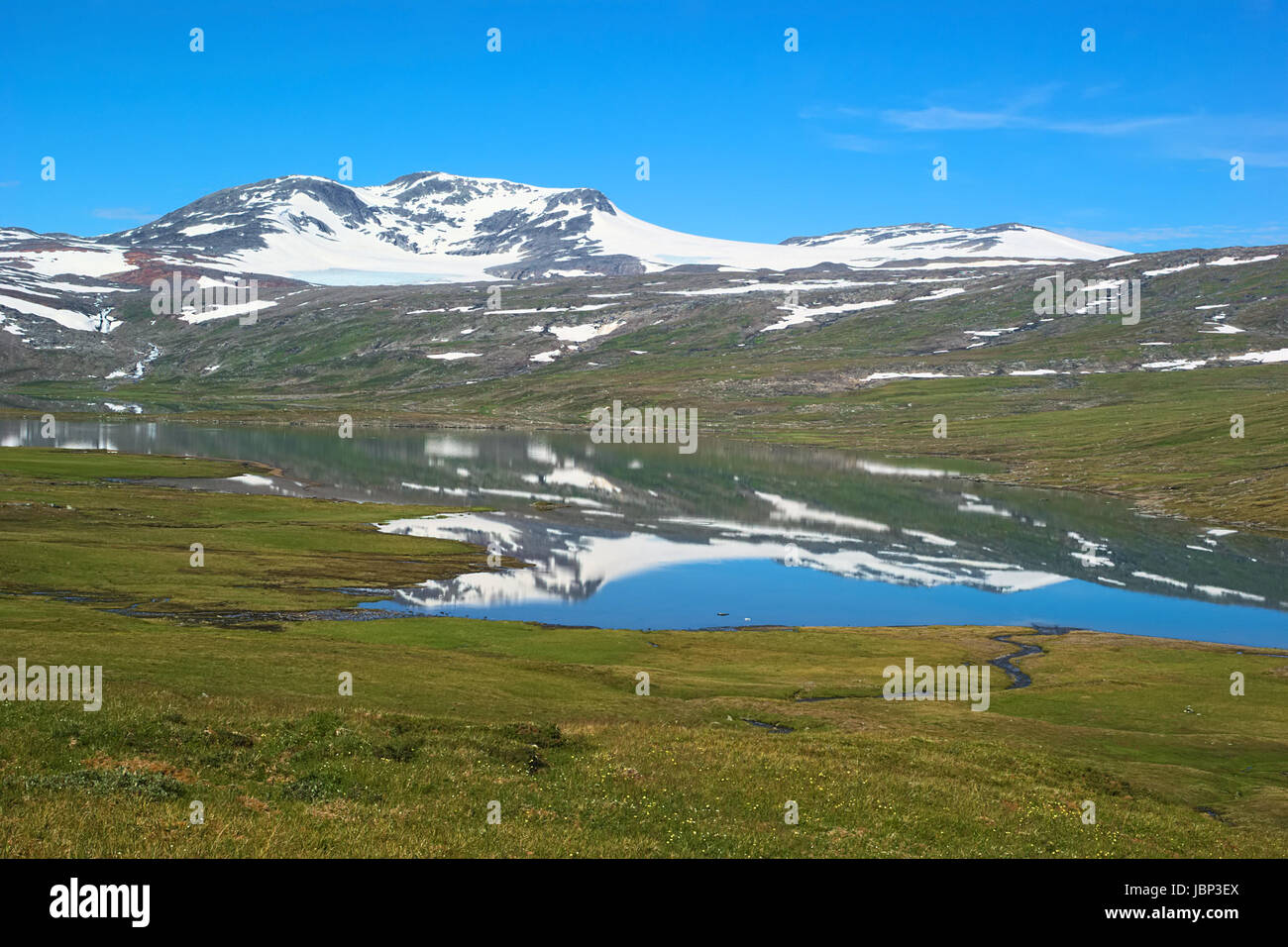 Fjell-Landschaft in Nord-Norwegen im Sommer: karge Berge schneebedeckt spiegelt sich in einem kleinen See, umgeben von grasbedeckten Felder Stockfoto