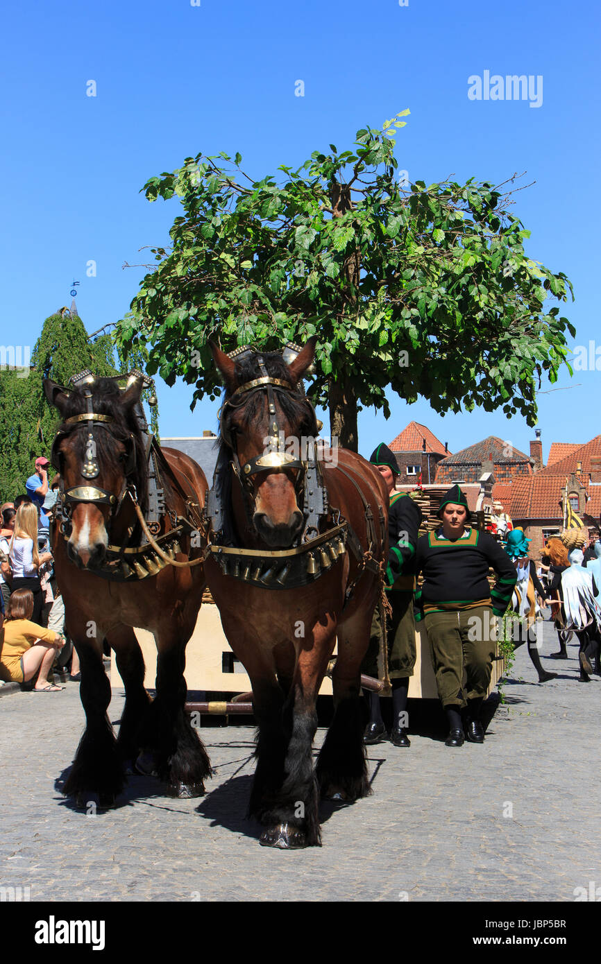 The Tree of the Garden of Eden during the Procession of the Holy Blood in Bruges, Belgium Stockfoto