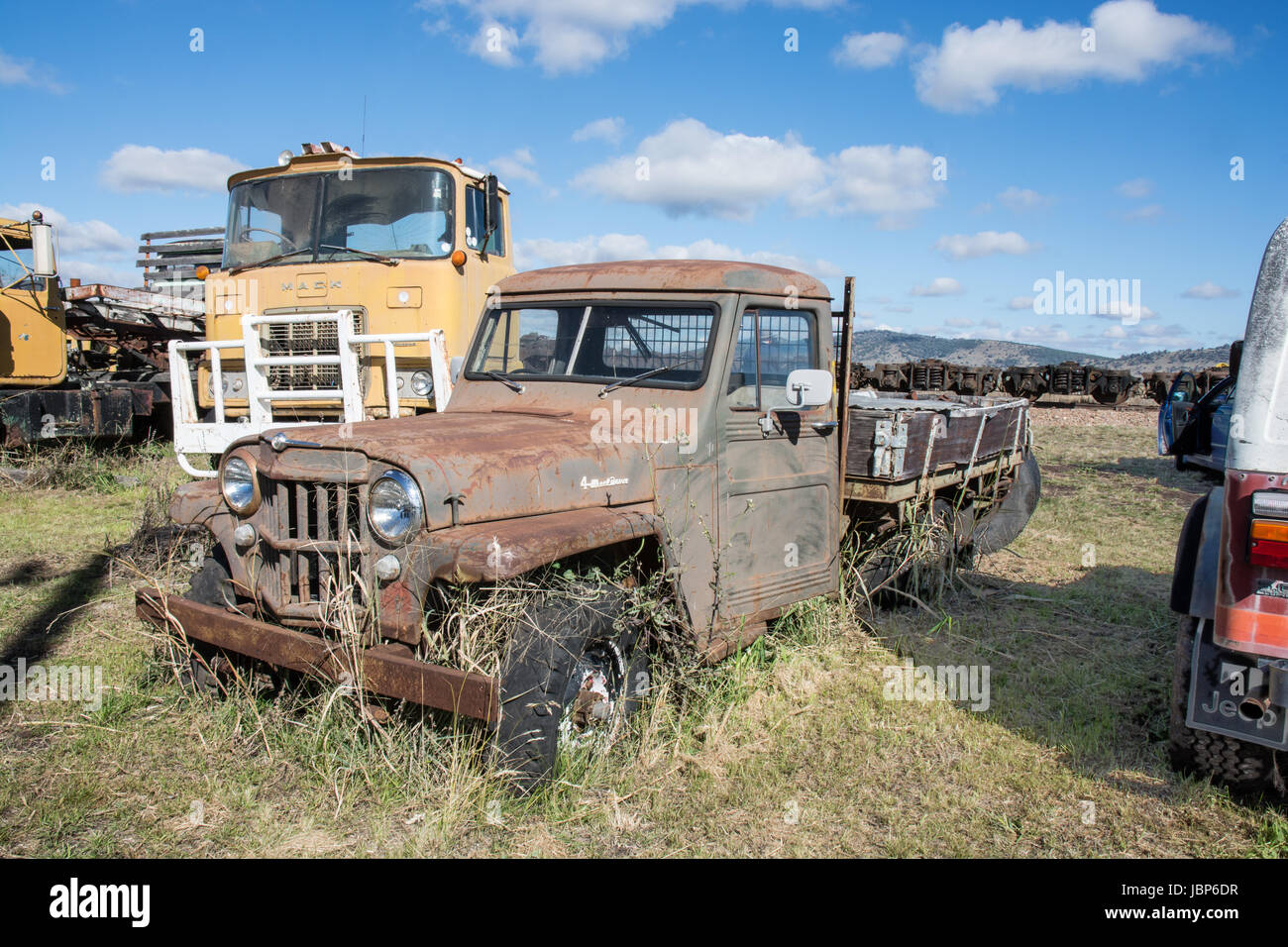 Einem alten Willys Jeep-LKW in einem Fahrzeug-Friedhof im ländlichen New South Wales Australien. Stockfoto