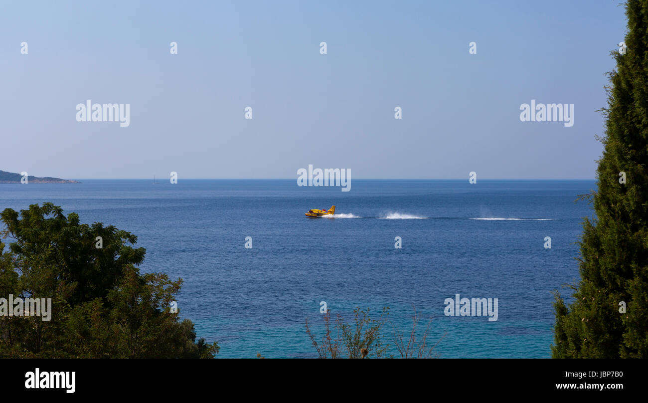 Die Brandbekämpfung Wasserflugzeug nehmen auf Wasser, Mlini, Kroatien Stockfoto