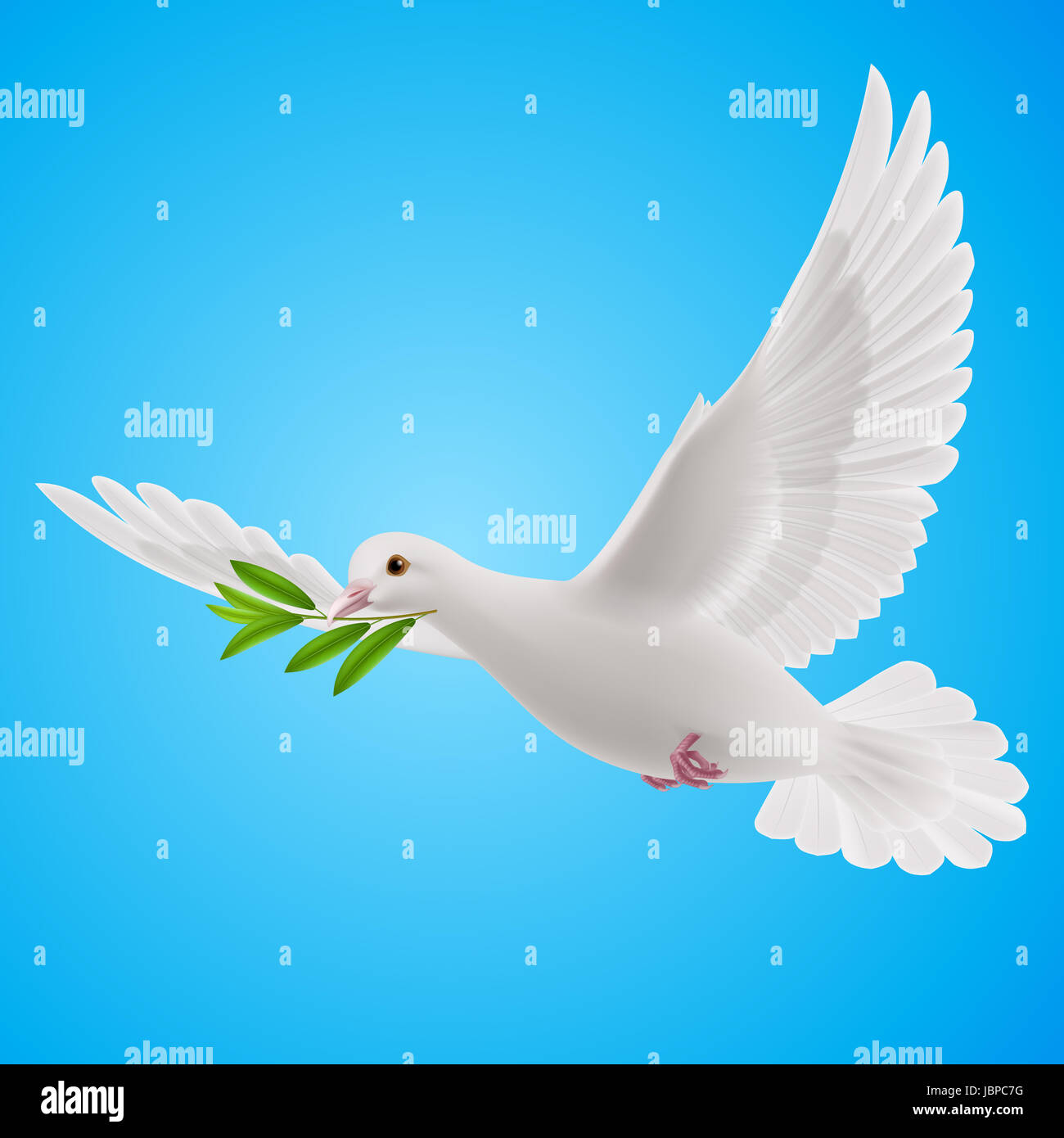 Taube des Friedens fliegen mit einem grünen Zweig nach Flut auf blauem Hintergrund Stockfoto