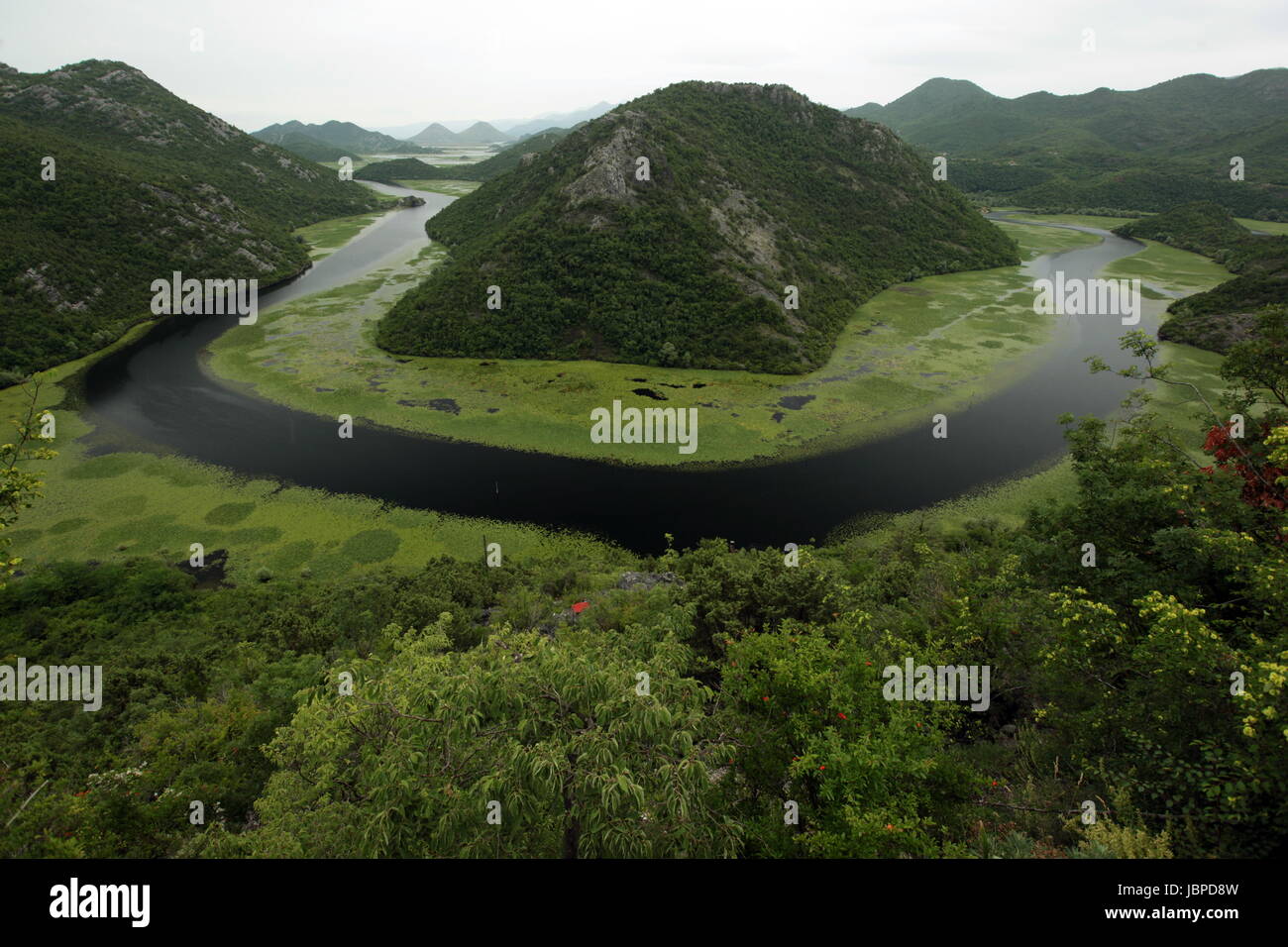 Die Landschaft Bei Rijeka Crnojevica Mit Dem Fluss Rijeka Crnojevica bin Westlichen Ende des Skadarsko Jezero sehen Oder Skadarsee in Zentral Montenegro in Montenegro Im Balkan bin Mittelmeer in Europa. Stockfoto