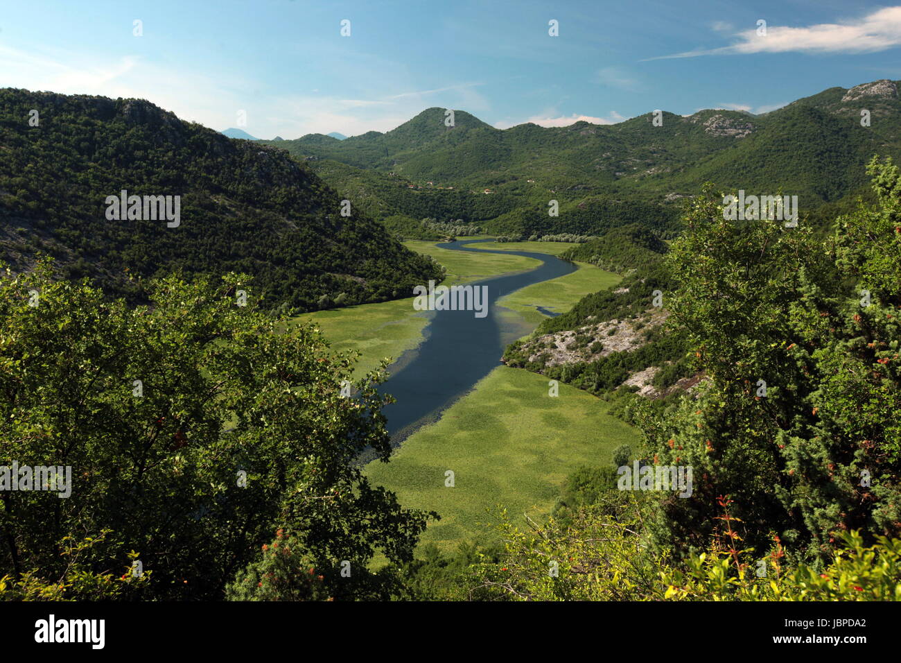 Landschaft Mit Dem Ufer des Skadar See Oder sterben Skadarsko Jezero Bei Rijeka Crnojevica in Montenegro in Europa. Stockfoto