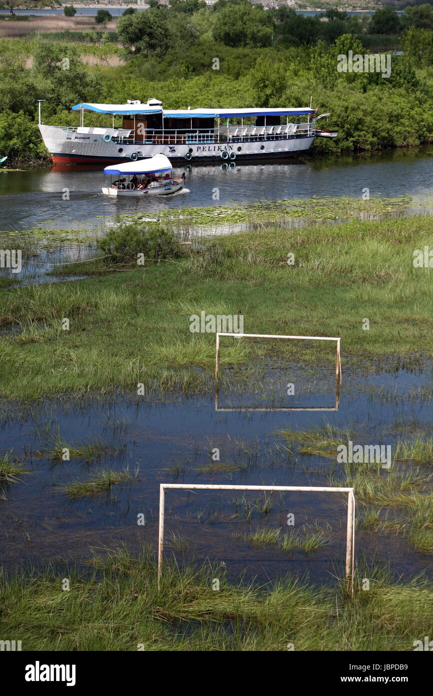 Die Landschaft Mit Einem Fussball Platz bin Ufer des Skadar See Oder Skadarsko Jezero in Virpazar in Montenegro in Europa. Stockfoto