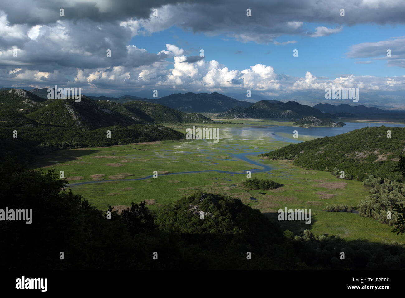 Sterben Sie Landschaft Mit Dem Ufer des Skadar See Oder Skadarsko Jezerobei Virpazar in Montenegro in Europa. Stockfoto