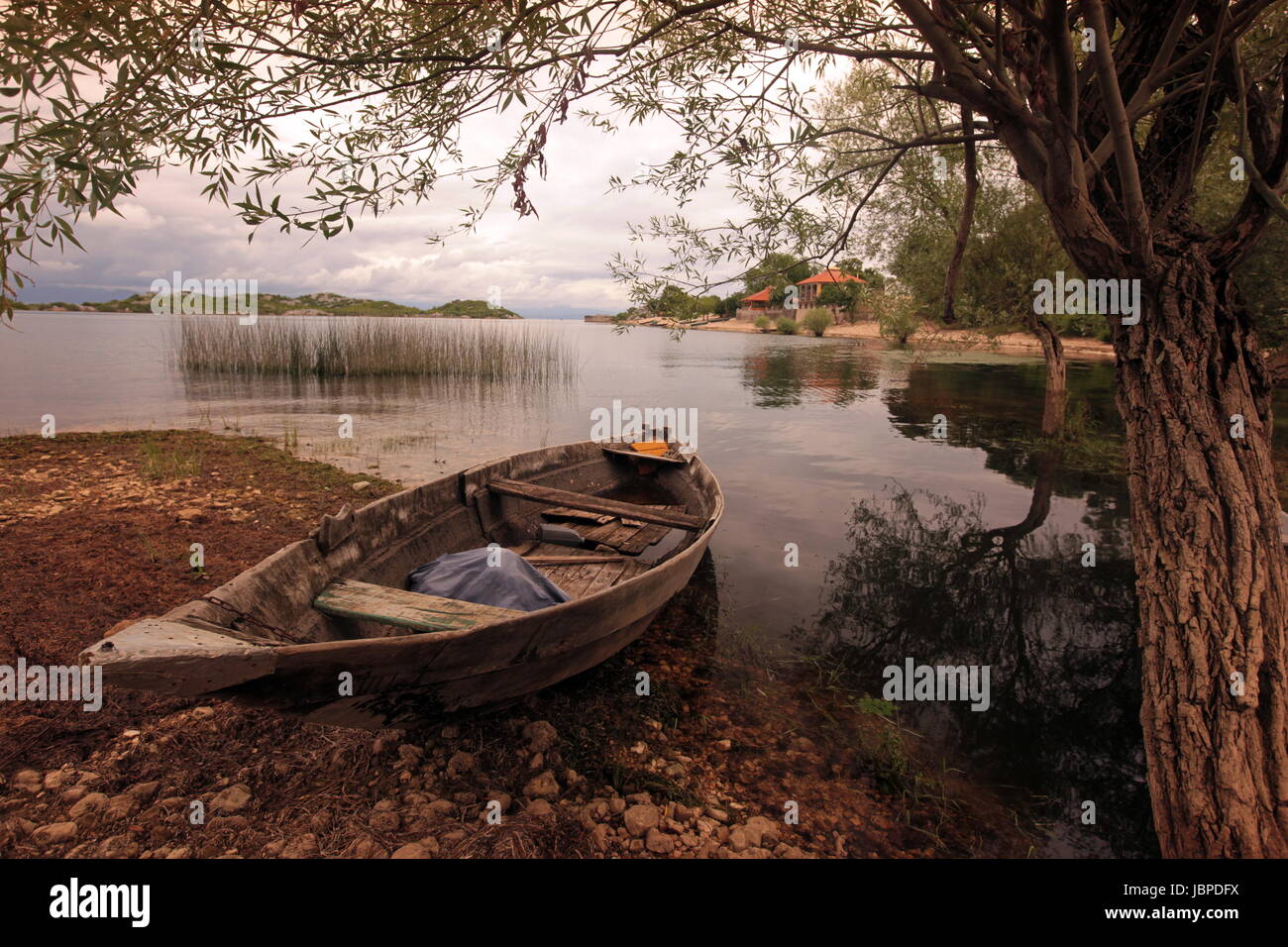 Landschaft Mit Dem Ufer des Skadar See Oder sterben Skadarsko Jezero Bei Murici in Montenegro in Europa. Stockfoto