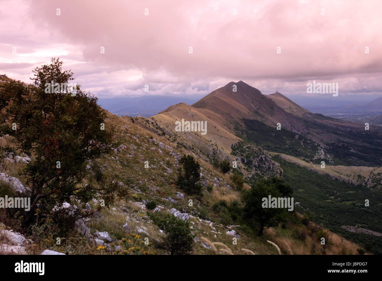 Basel-Landschaft schlug Dem Ufer des Skadar See Oder sterben Skadarsko Jezero Bei Murici in Montenegro in Europa. Stockfoto
