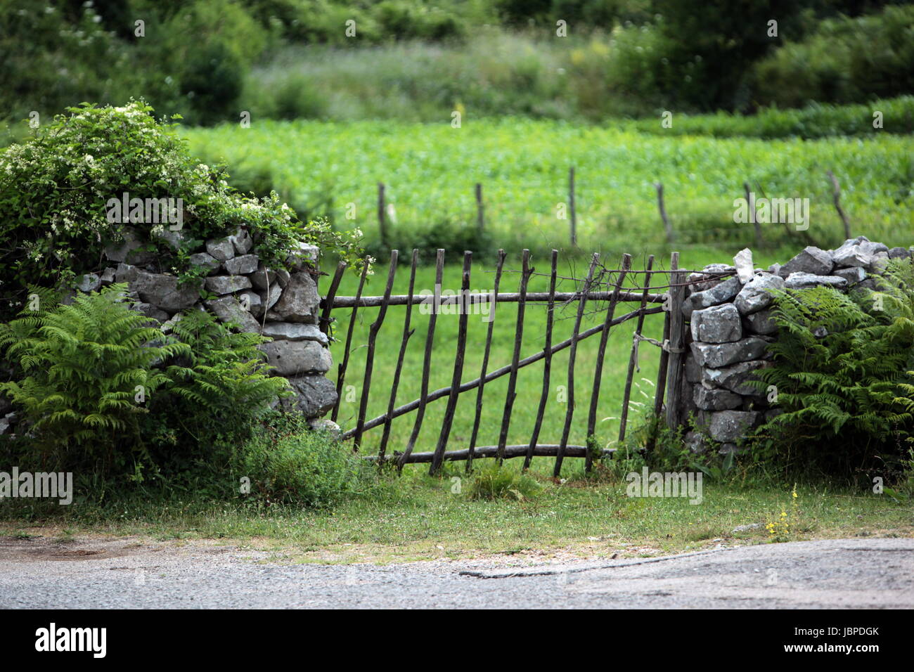 Ein Zaun eine der Bergstrasse Und Landschaft schlug Dem Ufer des Skadar See Oder Skadarsko Jezero Bei Godinjei in Montenegro in Europa. Stockfoto