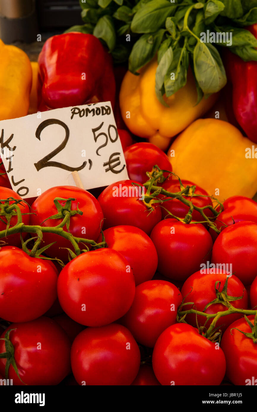 Pomodoro-Ripe, roten strauchtomaten aufgetürmt vor, bunte Paprika und Basilikum machen für ein leckeres Anzeige von Bio-Gemüse. Stockfoto