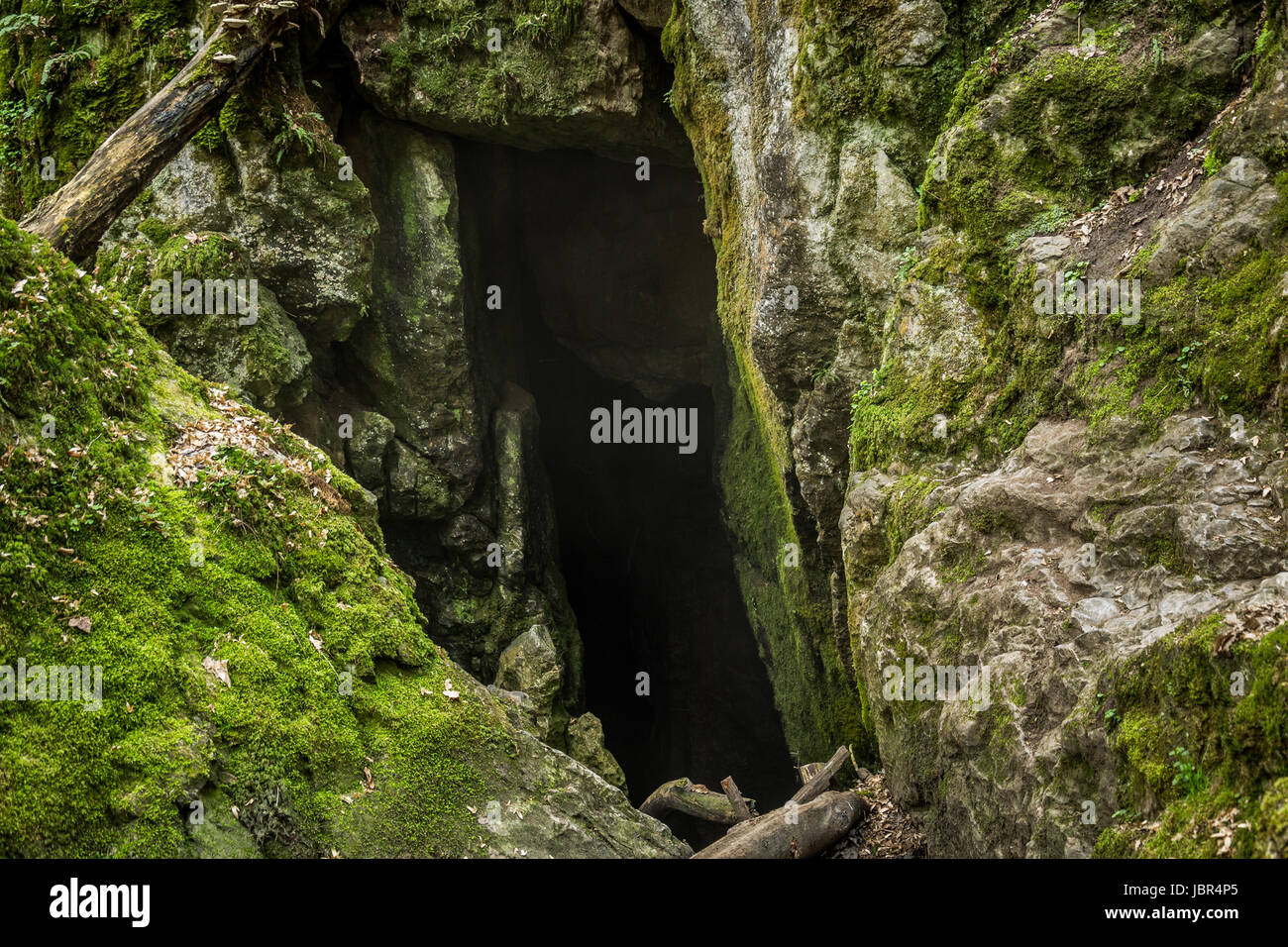 Das Schlucken Loch des Creek Jedovnický Potok in der Nähe des Dorfes Rudice Stockfoto