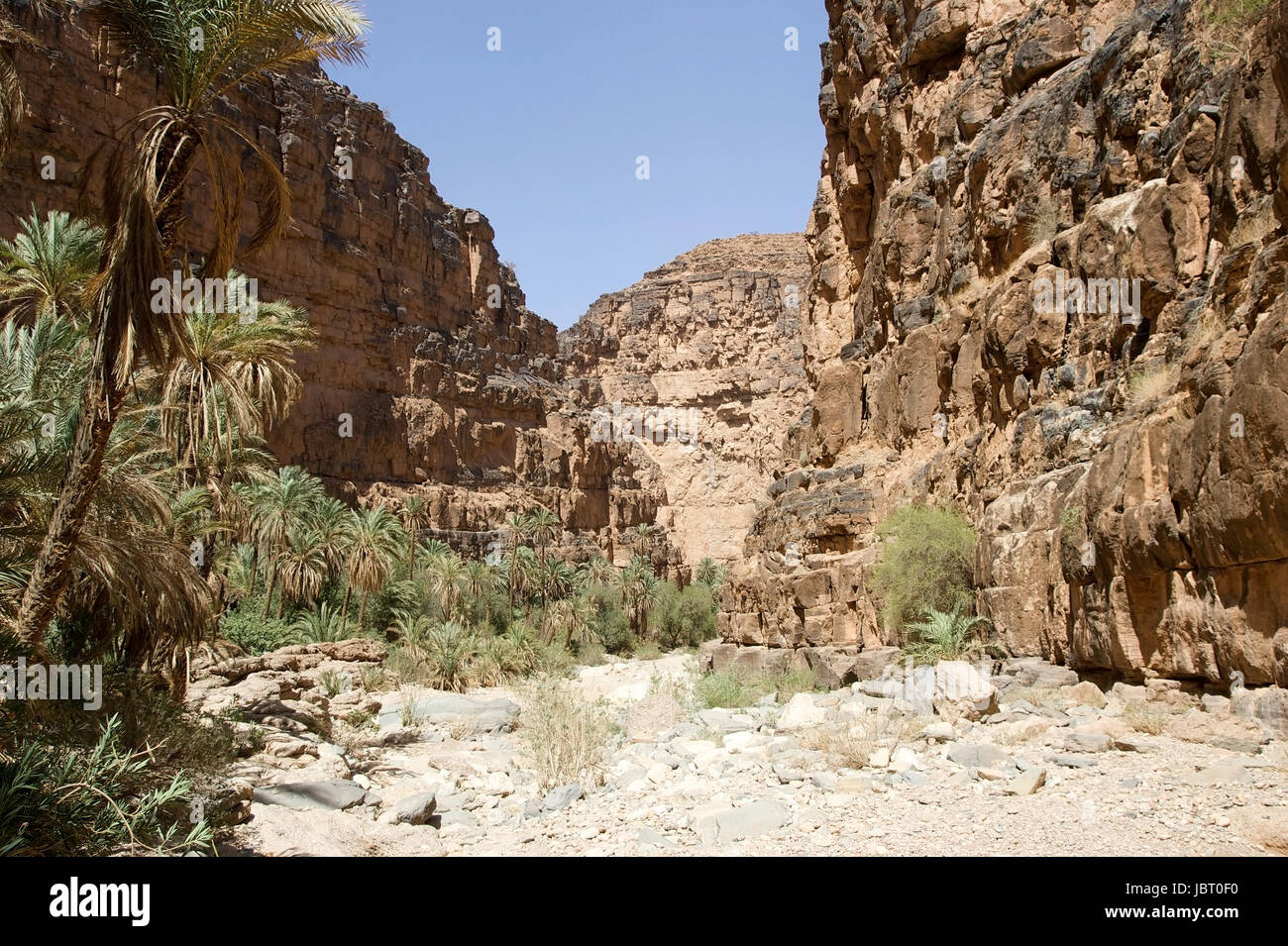 Amtoudi Tal aus dem Wadi im Süden von Marokko Stockfoto
