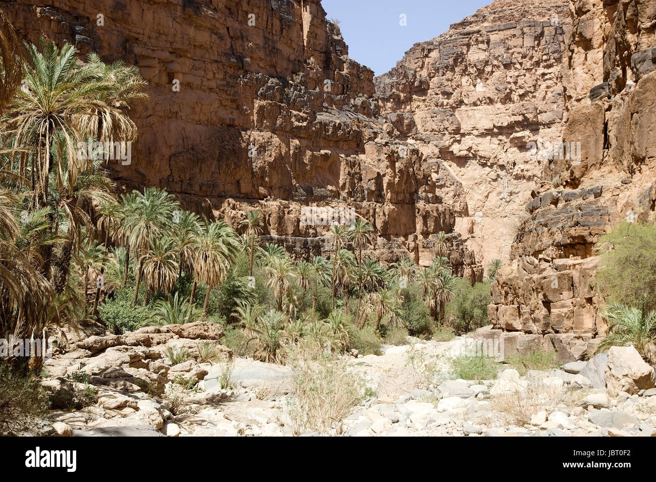 Amtoudi Tal aus dem Wadi im Süden von Marokko Stockfoto