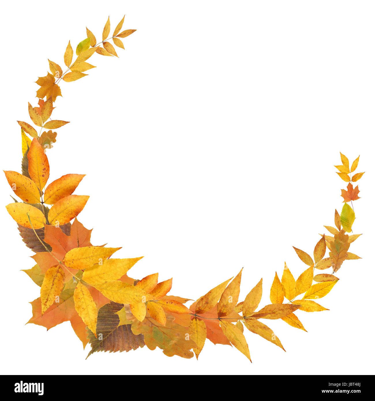 Schöne Rahmen aus gelben Herbst Blätter auf weißem Hintergrund Stockfoto