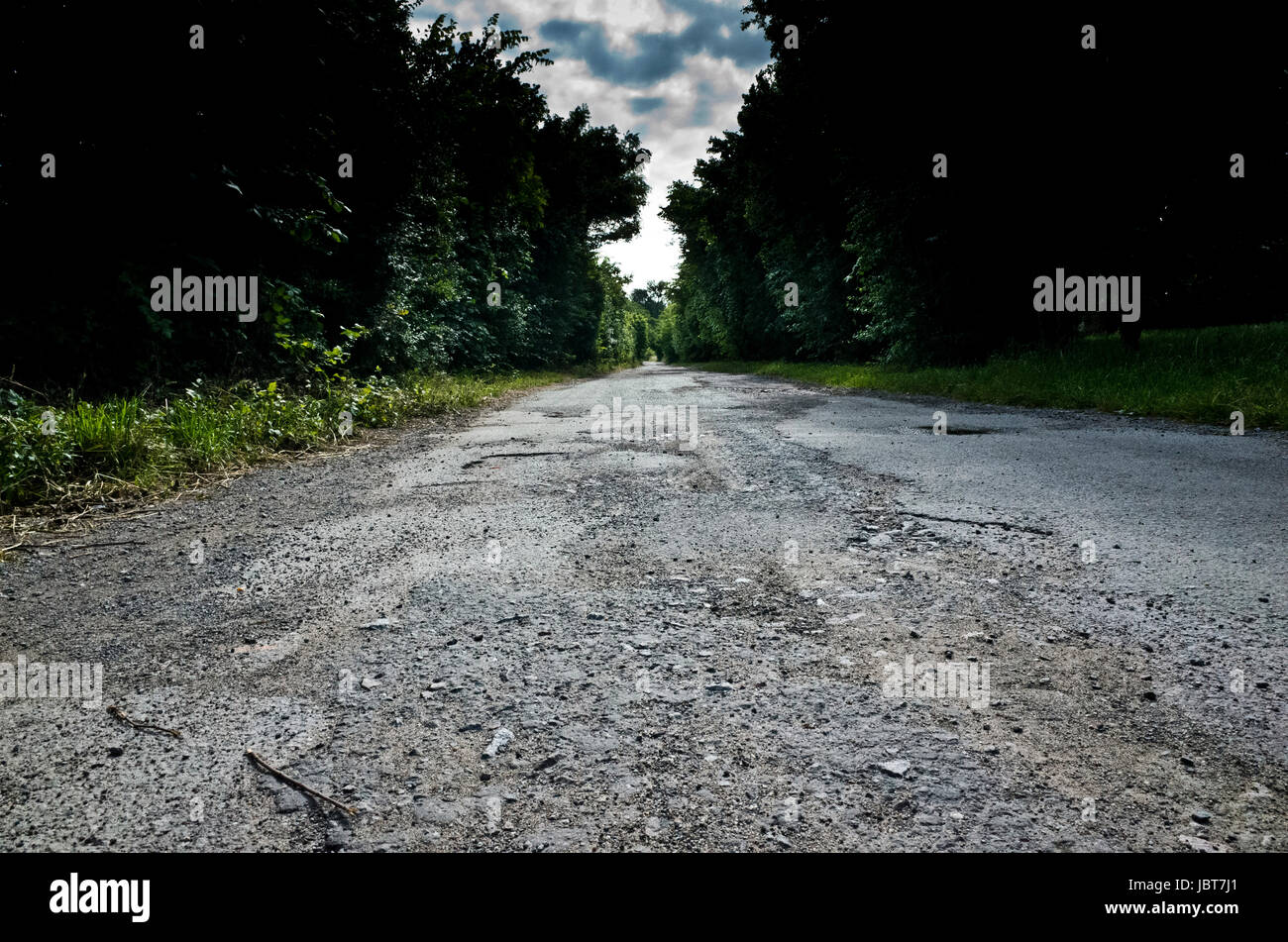 leere beschädigte Straße flankiert von Bäumen Stockfoto