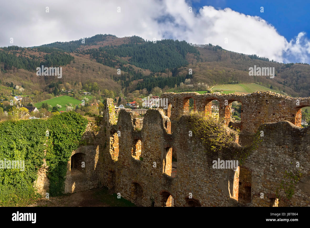 Schwarzwald Winzer Stockfoto