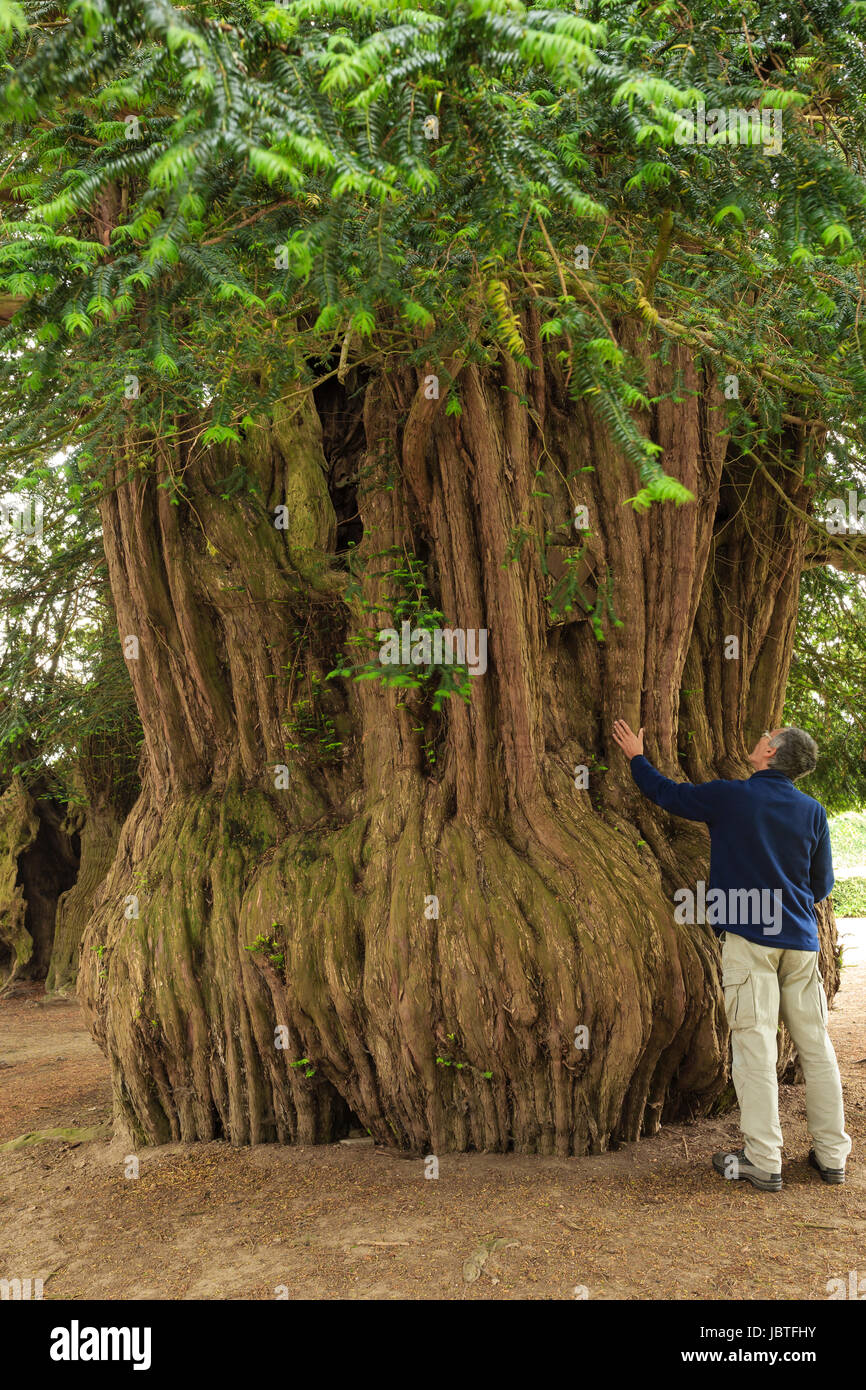 La basse lande Fotos und Bildmaterial in hoher Auflösung Alamy