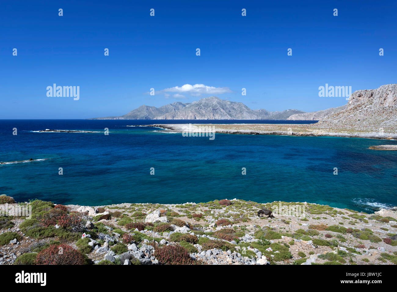 Küstenlandschaft Im Norden von Karpathos, Griechenland Stockfoto