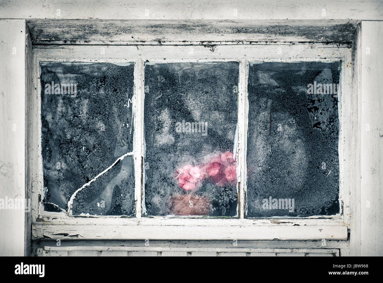 Nahaufnahme von verlassenen Haus gefrorene Fenster mit Kunststoff Blume am winter Stockfoto