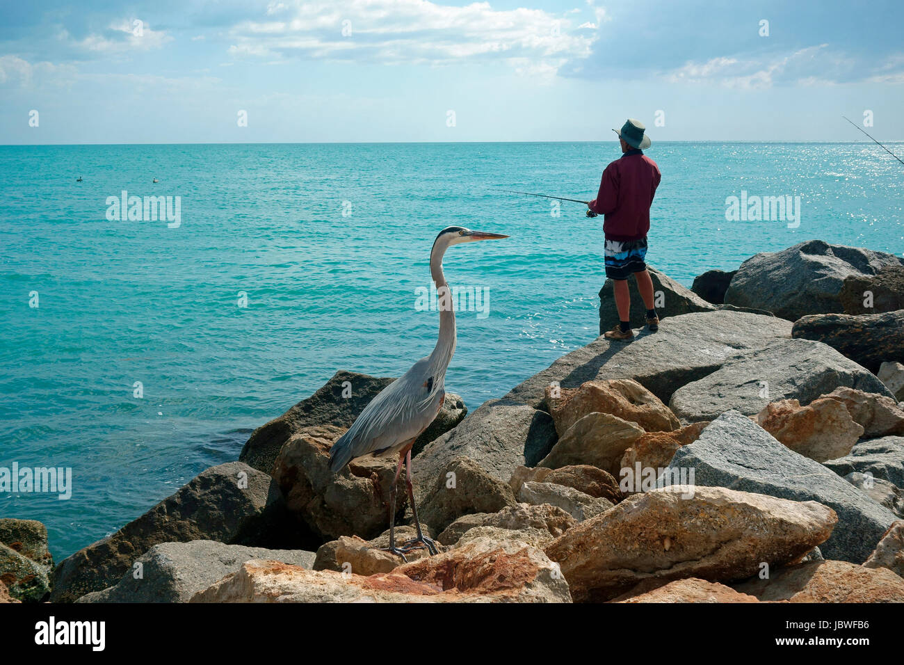 Eine Person und ein Reiher-Angeln am Steg in Florida Venedig Stockfoto