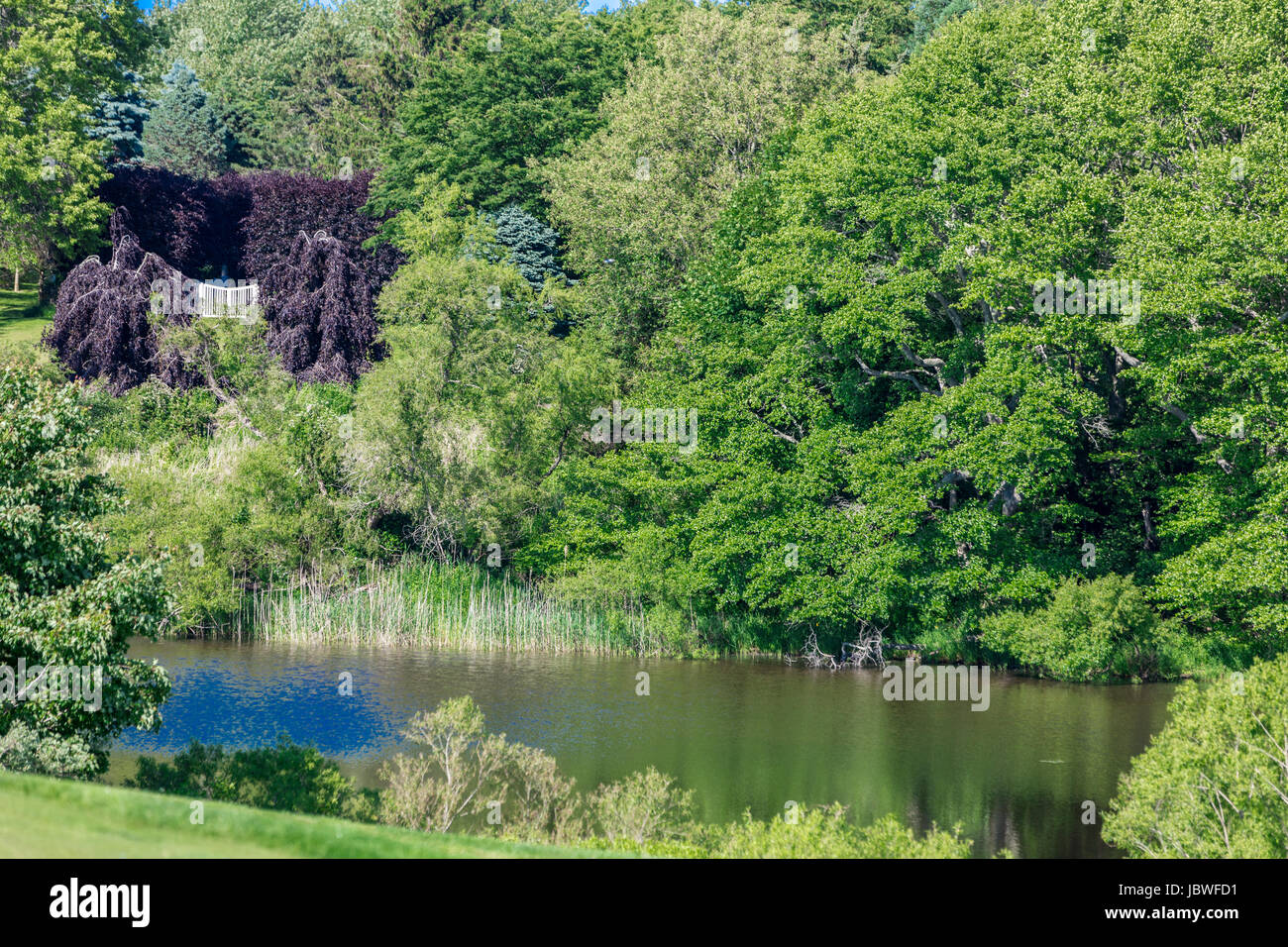 grüne Landschaft mit entfernten weißes Tor Stockfoto